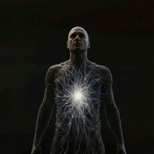 The Performance & Longevity Playbook – Foundations of Wellness & Healthy Living