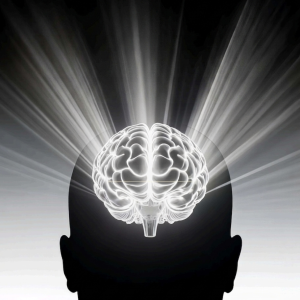 The Performance & Longevity Playbook – Mindset, Habits & Personal Development Guide